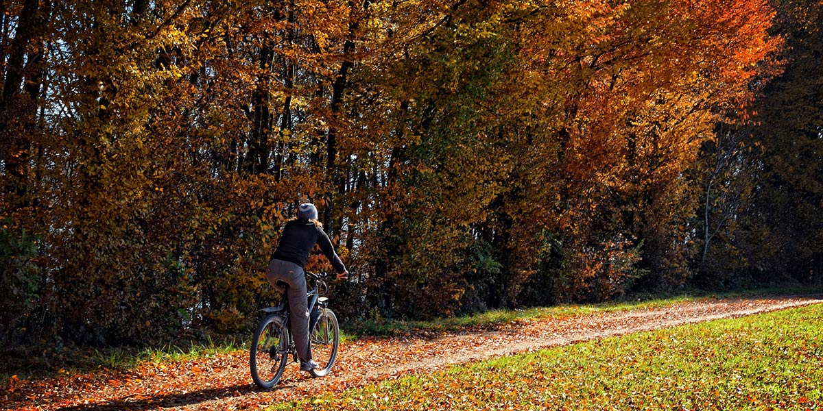 Autumn in our parks