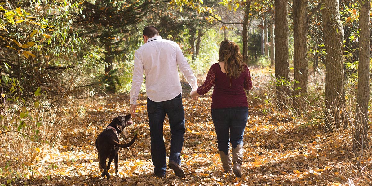 Autumn in our parks