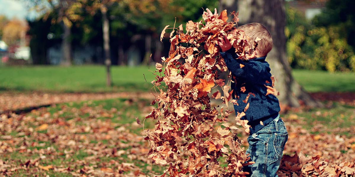 Autumn in our parks