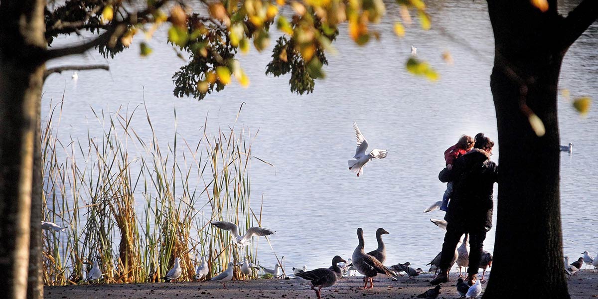 Autumn in our parks