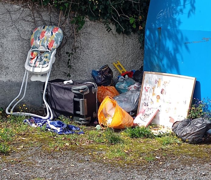 Some of the rubbish dumped in the ABC Borough this year.