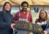 Sharon McMaster from NWP and gardening expert Biruk Sahle are joined by the Jennifer Cunningham from ABC Council.