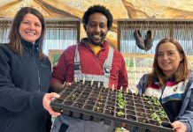 Sharon McMaster from NWP and gardening expert Biruk Sahle are joined by the Jennifer Cunningham from ABC Council.