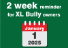 The deadline for XL Bully exemptions is December 31, 2024.