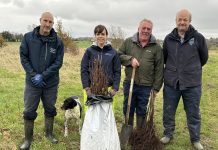 Andy Griggs (Conservation Officer, ABC Council), Judy McElroy (Sustainability and Development Manager, NIE Networks) Hugh Thompson (Conservation Projects & Activities Officer ABC Council) and Robert Shearman (Operations Leader, The Conservation Volunteers) pictured at the tree planting event at Woodside Green, Portadown.