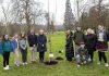 Large group of people outside beside tree