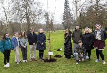 Large group of people outside beside tree