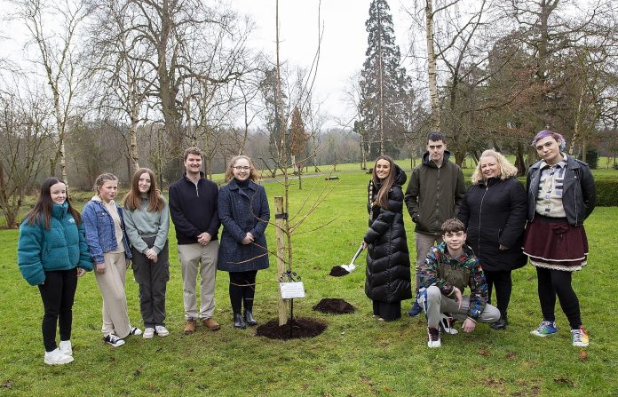 Large group of people outside beside tree