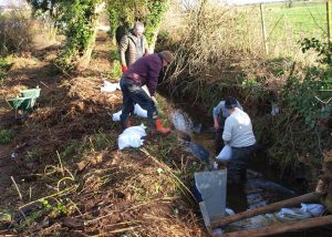 Members of Armagh Fisheries carrying out improvement works on a local stream.